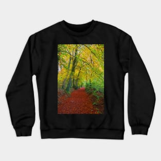 Autumnal Westridge Woods, Cotswolds Crewneck Sweatshirt